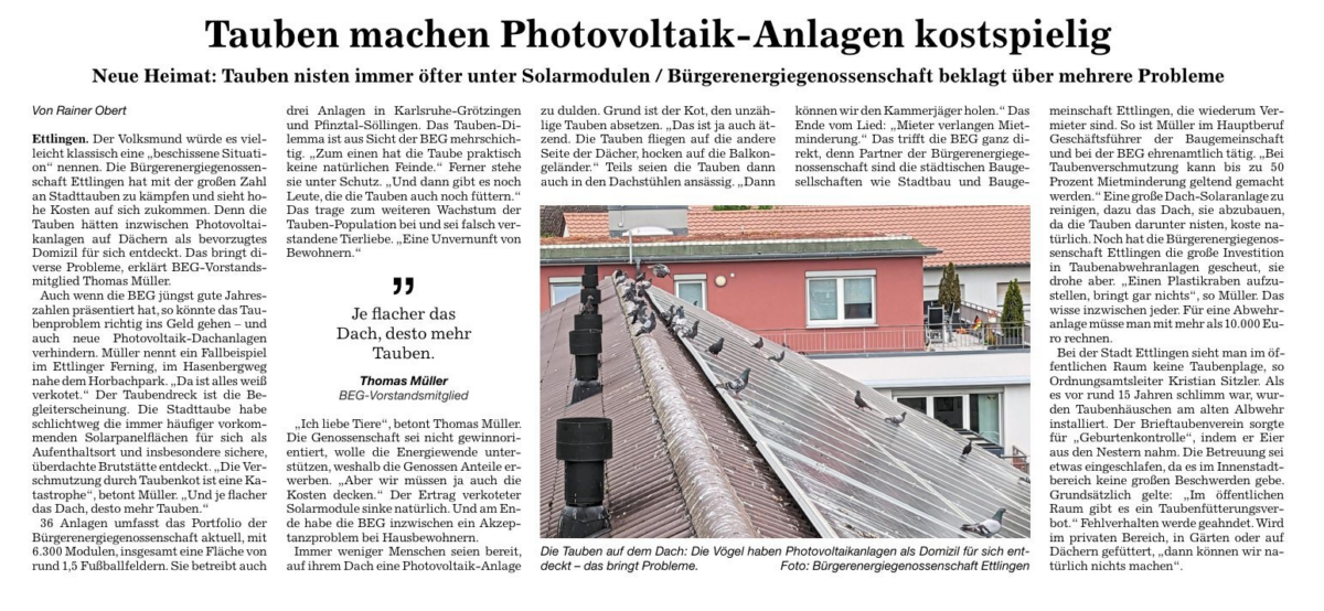 Tauben auf und unter Photovoltaikanlagen